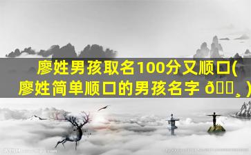 廖姓男孩取名100分又顺口(廖姓简单顺口的男孩名字 🕸 )